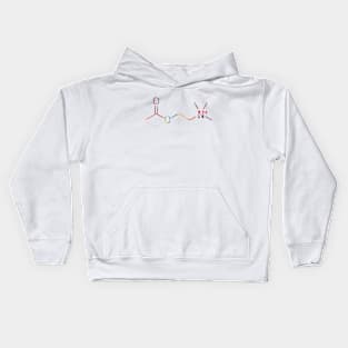 Acetylcholine molecule Kids Hoodie